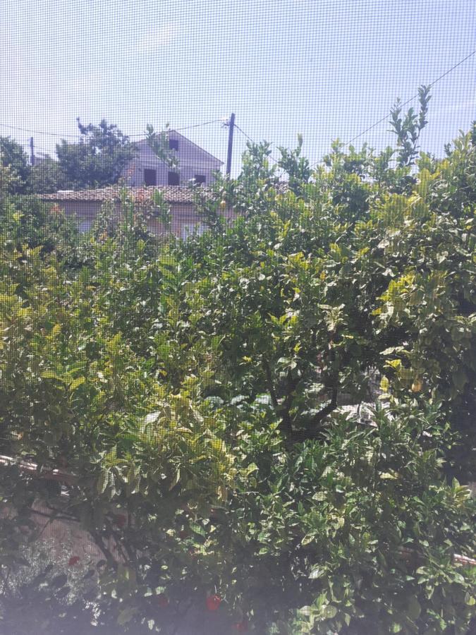 Thalia's Garden Penzion *