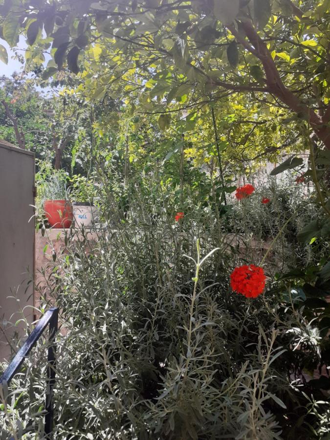 Thalia's Garden Penzion